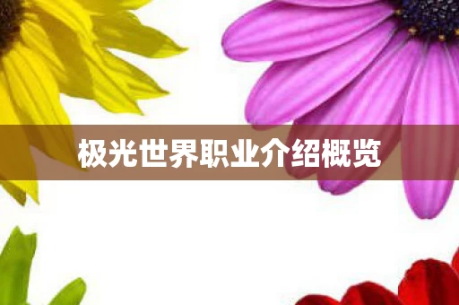 极光世界职业介绍概览图片