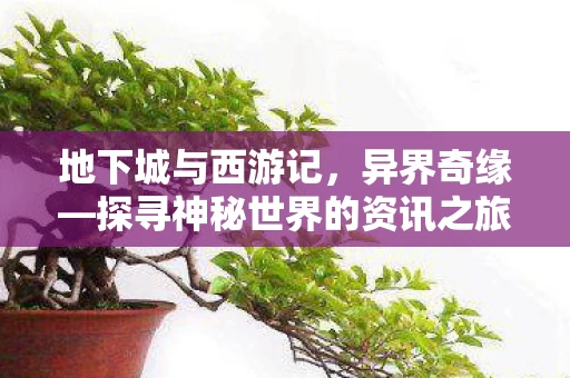 探寻神秘世界的资讯之旅图片