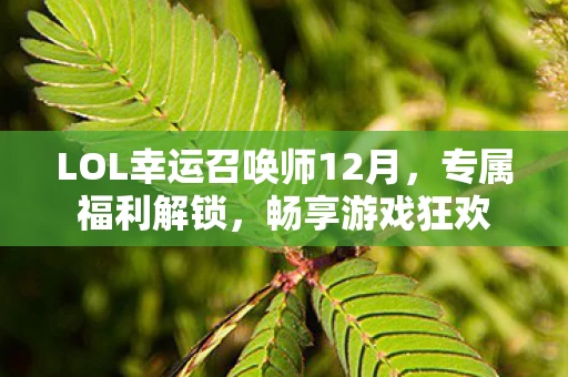 LOL幸运召唤师12月图片