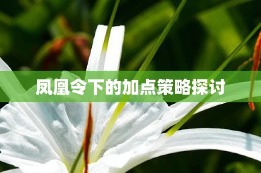 凤凰令下的加点策略探讨图片