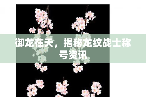 揭秘龙纹战士称号资讯图片