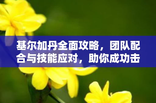 团队配合与技能应对图片