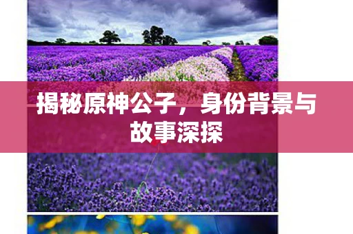 身份背景与故事深探图片