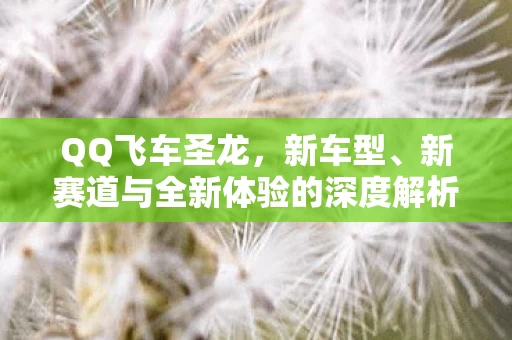 新赛道与全新体验的深度解析图片