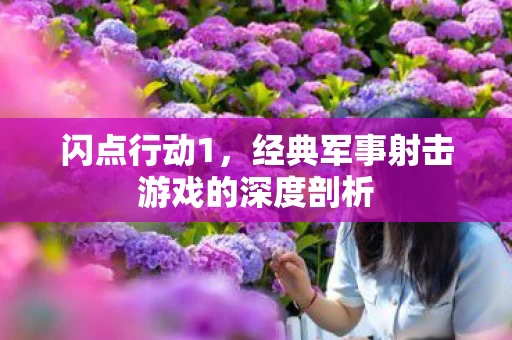 经典军事射击游戏的深度剖析图片