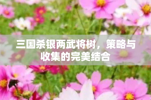 策略与收集的完美结合图片