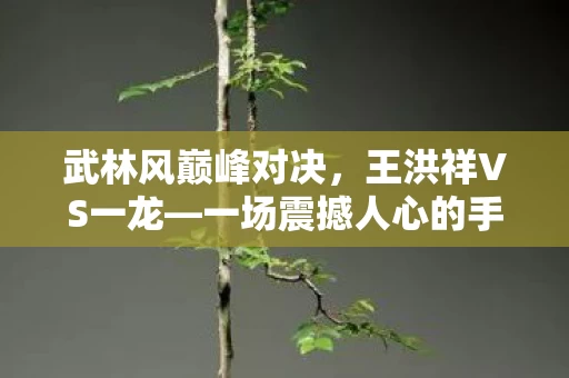 一场震撼人心的手之战图片