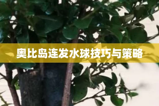 奥比岛连发水球技巧与策略图片