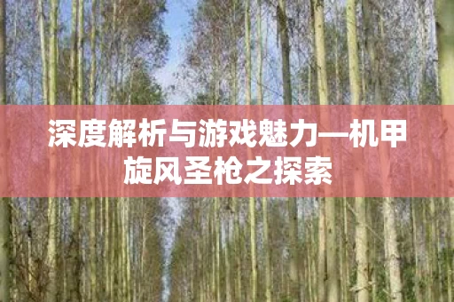 深度解析与游戏魅力图片