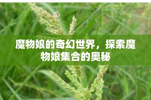 探索魔物娘集合的奥秘图片