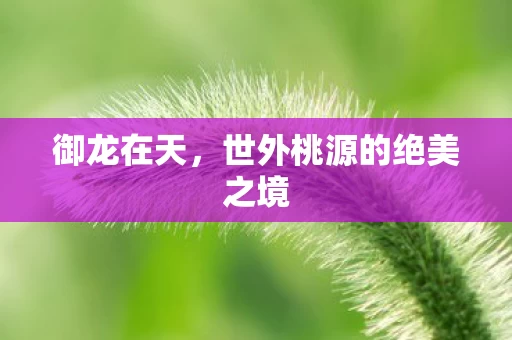 世外桃源的绝美之境图片
