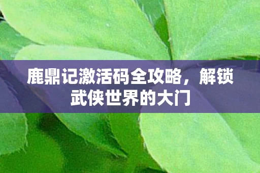 鹿鼎记激活码全攻略图片