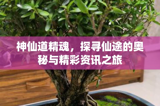 探寻仙途的奥秘与精彩资讯之旅图片