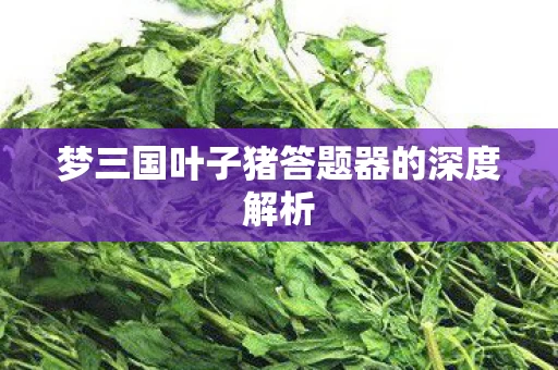 梦三国叶子猪答题器的深度解析图片