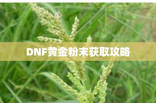 DNF黄金粉末获取攻略图片
