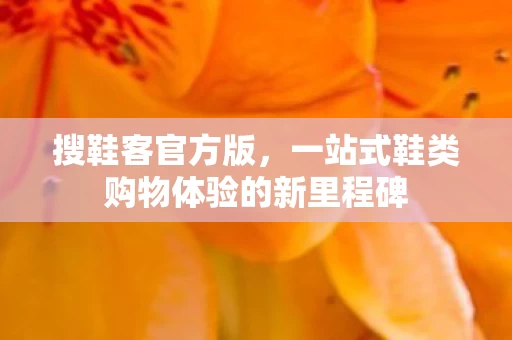 一站式鞋类购物体验的新里程碑图片