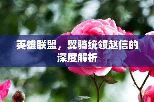 翼骑统领赵信的深度解析图片