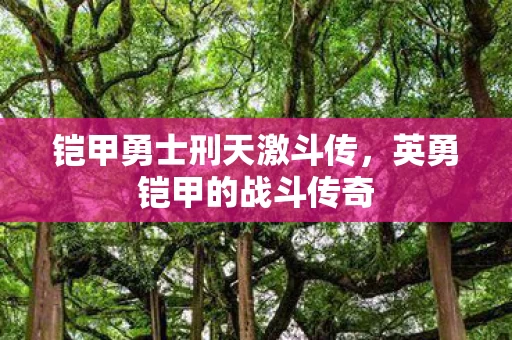 铠甲勇士刑天激斗传图片