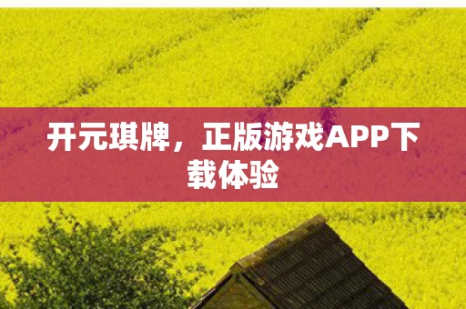 正版游戏APP下载体验图片