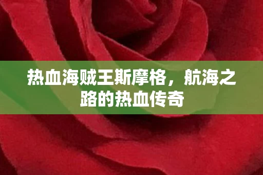 航海之路的热血传奇图片