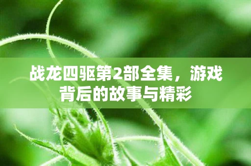 游戏背后的故事与精彩图片
