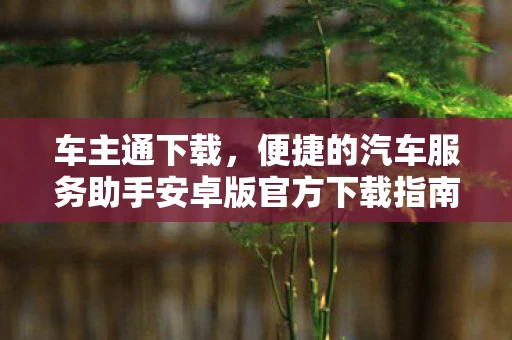 便捷的汽车服务助手安卓版官方下载指南图片