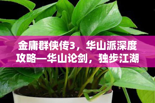 华山派深度攻略图片