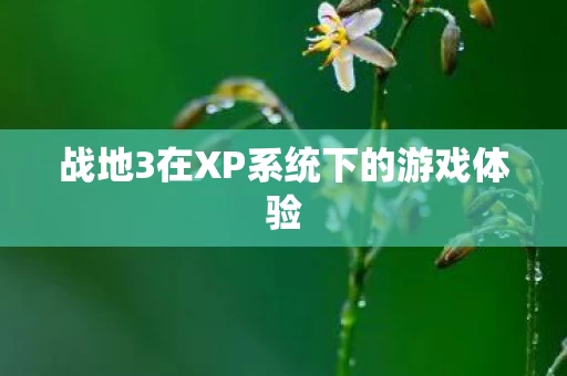 战地3在XP系统下的游戏体验图片