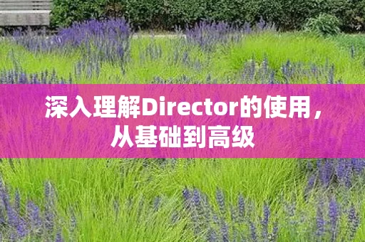 深入理解Director的使用图片