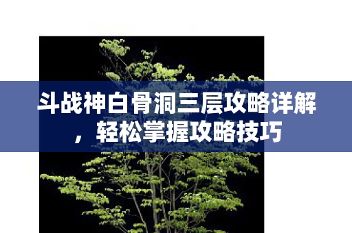 斗战神白骨洞三层攻略详解图片