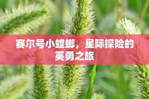 星际探险的英勇之旅图片