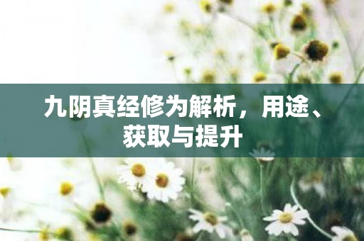 九阴真经修为解析图片