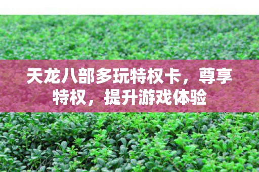 天龙八部多玩特权卡图片