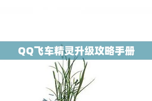QQ飞车精灵升级攻略手册图片