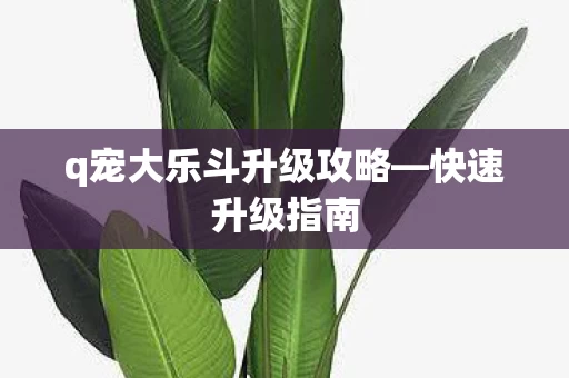 q宠大乐斗升级攻略图片