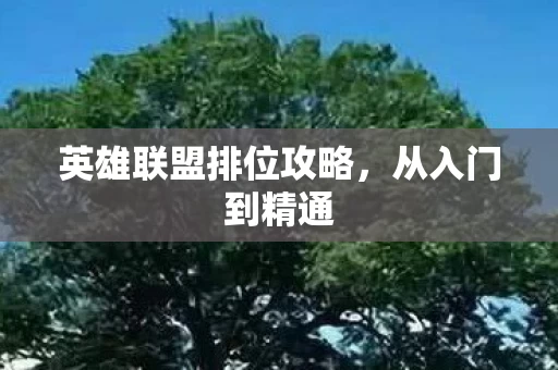 英雄联盟排位攻略图片