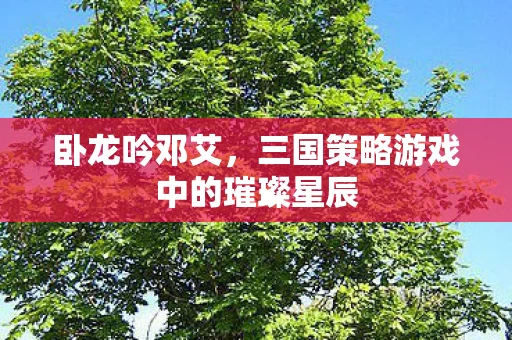 三国策略游戏中的璀璨星辰图片