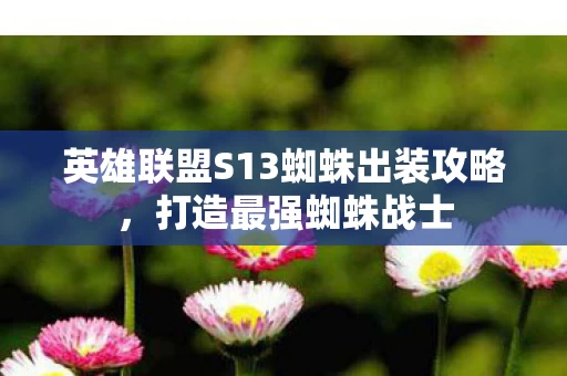 英雄联盟S13蜘蛛出装攻略图片