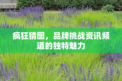 品牌挑战资讯频道的独特魅力图片