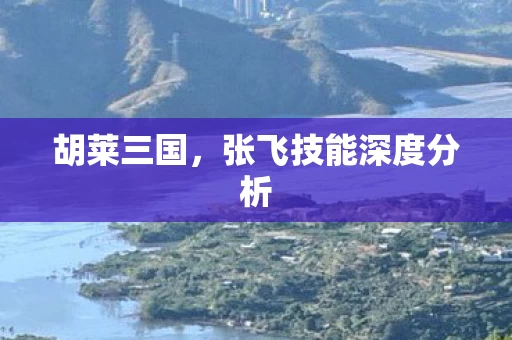 张飞技能深度分析图片
