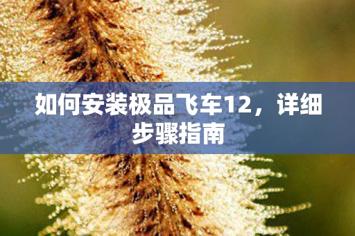 如何安装极品飞车12图片