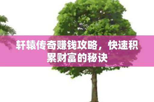快速积累财富的秘诀图片