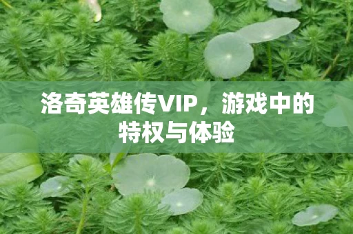 游戏中的特权与体验图片