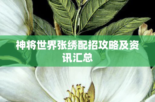 神将世界张绣配招攻略及资讯汇总图片