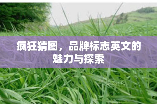品牌标志英文的魅力与探索图片