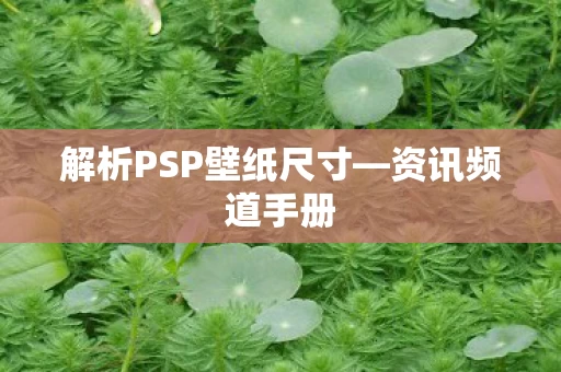 解析PSP壁纸尺寸图片