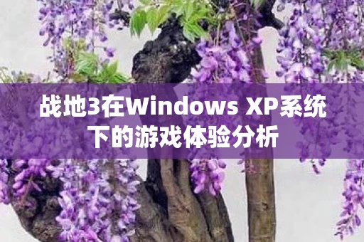 战地3在Windows XP系统下的游戏体验分析图片