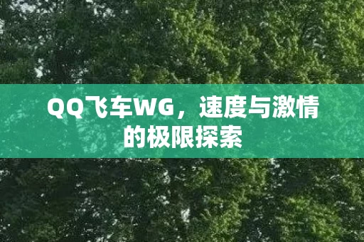 速度与激情的极限探索图片