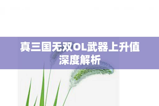 真三国无双OL武器上升值深度解析图片