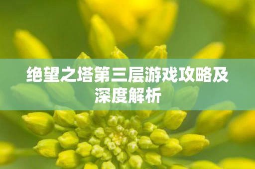 绝望之塔第三层游戏攻略及深度解析图片